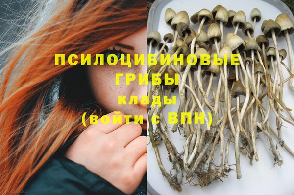 прущие крисы Алексеевка