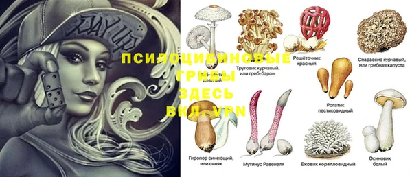 прущие крисы Алексеевка