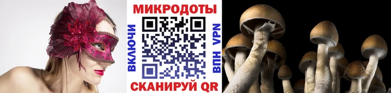 Галлюциногенные грибы Magic Shrooms  Шлиссельбург 