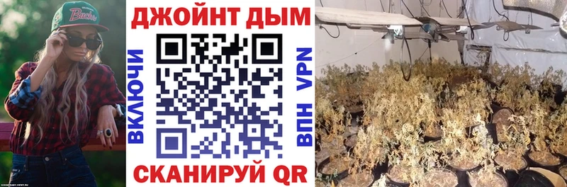 Бошки марихуана VHQ  KRAKEN ССЫЛКА  Шлиссельбург 
